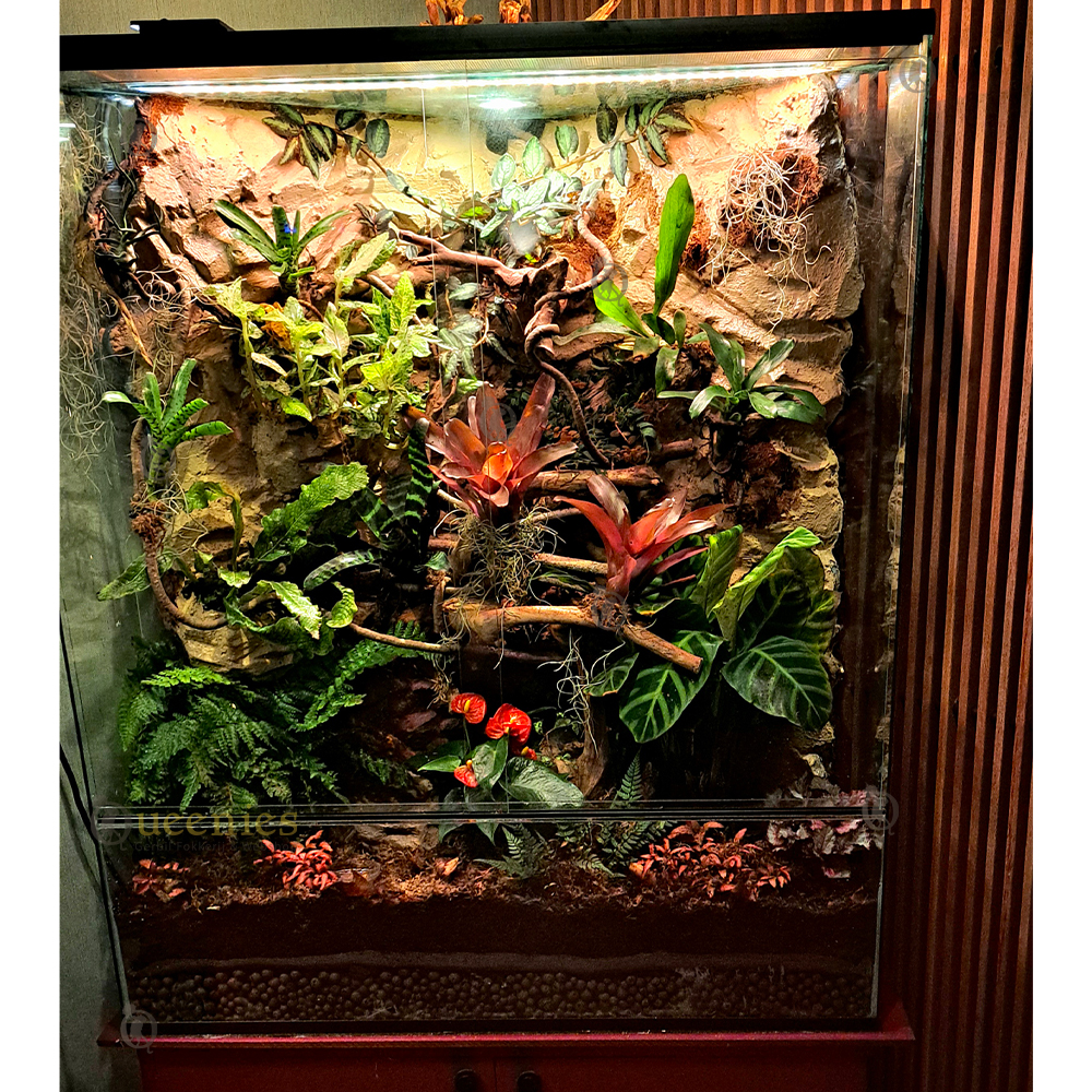 Planten Terrarium